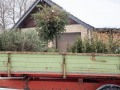 baum-0016