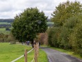 IMG-20230925-WA0014