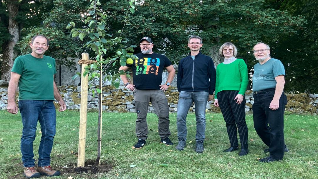 Kirchenvorstand bei Baum